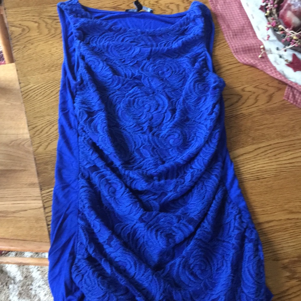 Blue lace shell